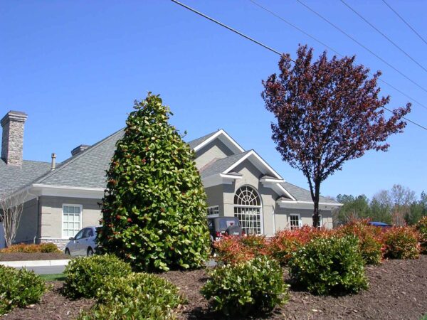 Pouncey Tract Veterinary Hospital